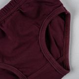 Girls&#039; Burgundy Panties Made of Organic Cotton