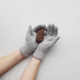 Merino Woolen Gloves Gray